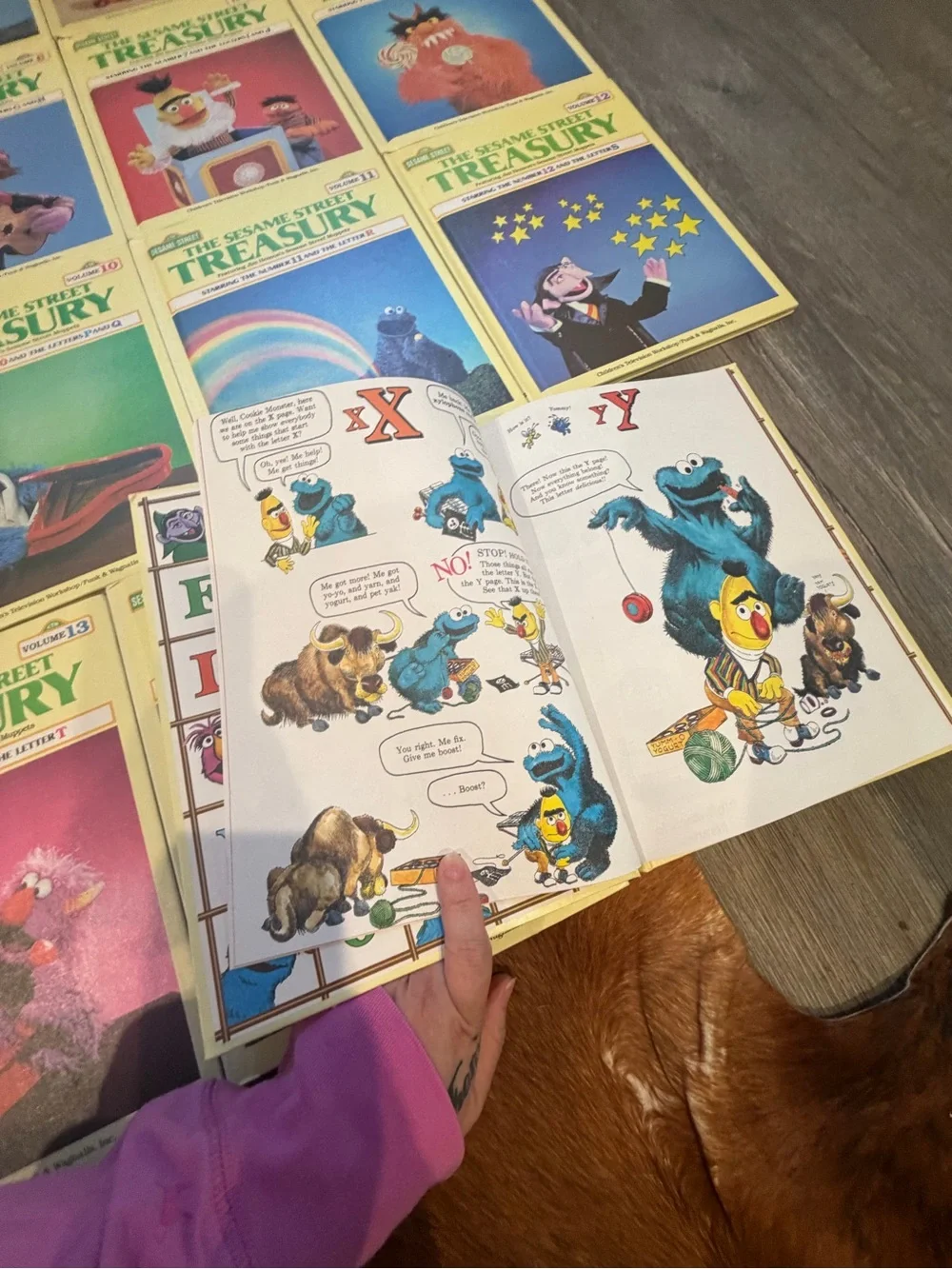 The Sesame Street Treasury Collection - Assorted Yellow Covers